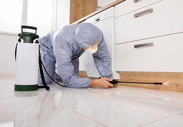 Hygiene and Pest Control